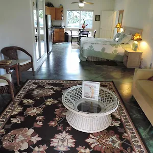 Hale Pua - Hibiscus Holiday home